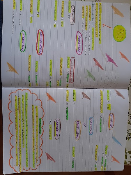 mappe latino by Maria Carla - Ourboox.com