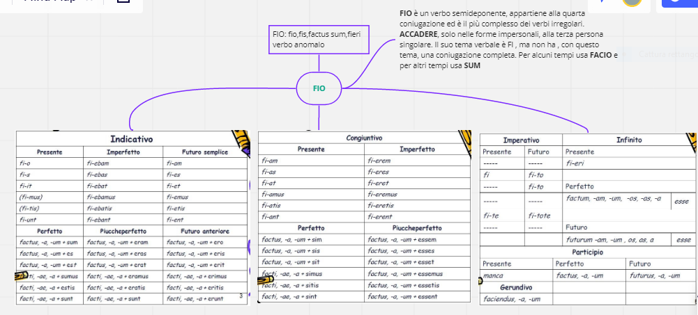 MAPPE CONCETTUALI by Giorgia Pizzulli - Ourboox.com