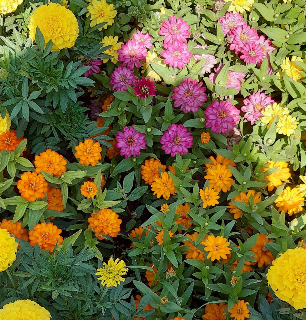 Relax by Gaáli Barak - Ourboox.com