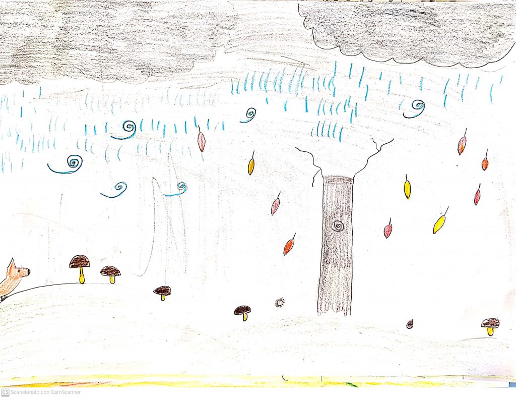 PAESAGGI AUTUNNALI CLASSE III A by Scuola Primaria E.De Amicis Montepulciano - Ourboox.com