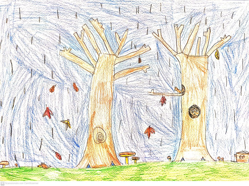 PAESAGGI AUTUNNALI CLASSE III A by Scuola Primaria E.De Amicis Montepulciano - Ourboox.com