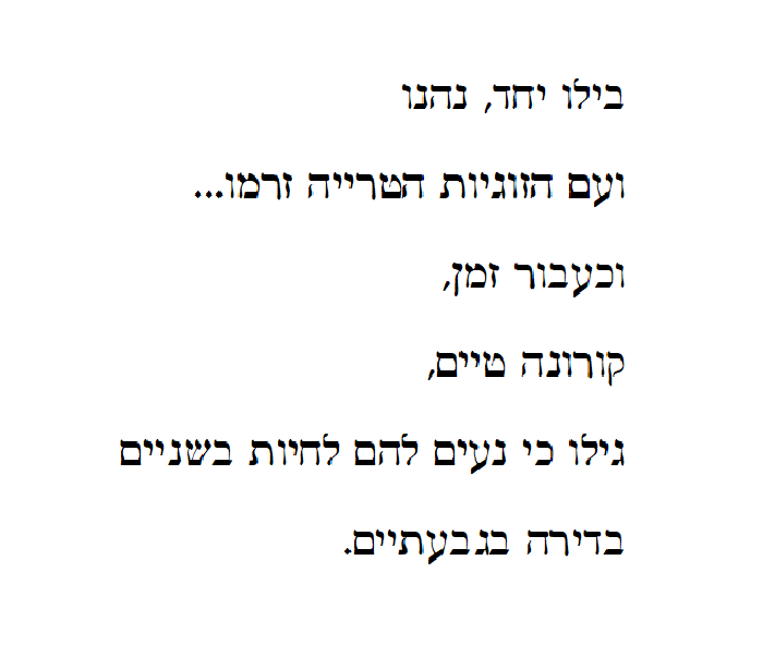 זהר ורן – החתונה by NOA LICHTHOUSE - Ourboox.com