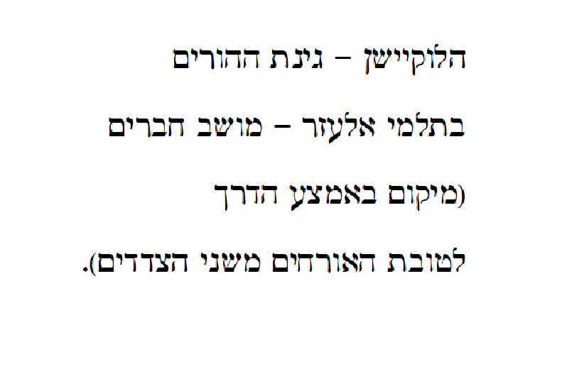 זהר ורן – החתונה by NOA LICHTHOUSE - Ourboox.com