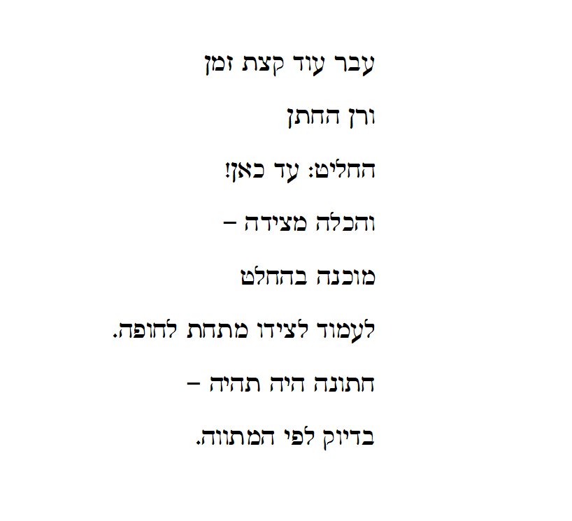 זהר ורן – החתונה by NOA LICHTHOUSE - Ourboox.com