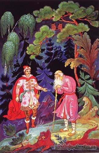 Царівна жаба by Dasha Hakimzianova - Ourboox.com