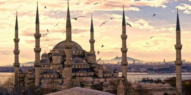  ARTE by Giulia - Ourboox.com