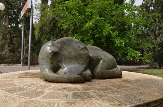 מעלה אדומים שלי by tal - Ourboox.com