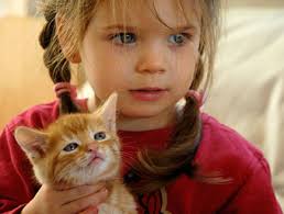 All About Me by eden - Ourboox.com