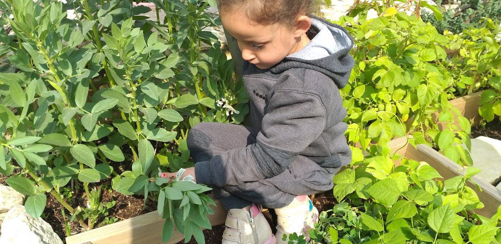 الروضة الخضراء روضة الايمان المربية نجمه زحالقه by njmh - Ourboox.com