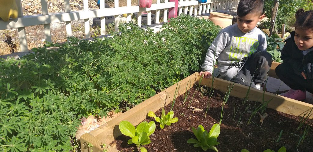 الروضة الخضراء روضة الايمان المربية نجمه زحالقه by njmh - Ourboox.com