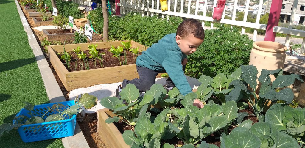 الروضة الخضراء روضة الايمان المربية نجمه زحالقه by njmh - Ourboox.com