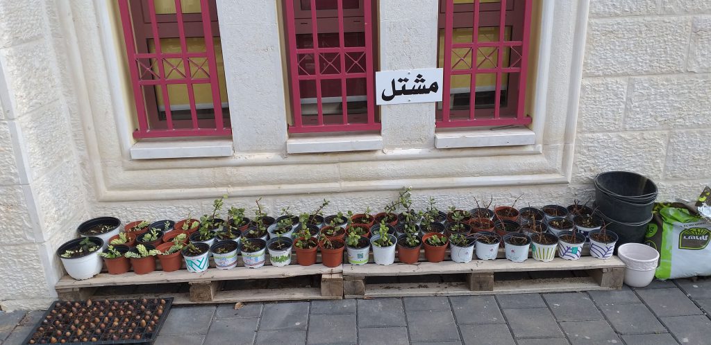 الروضة الخضراء روضة الايمان المربية نجمه زحالقه by njmh - Ourboox.com