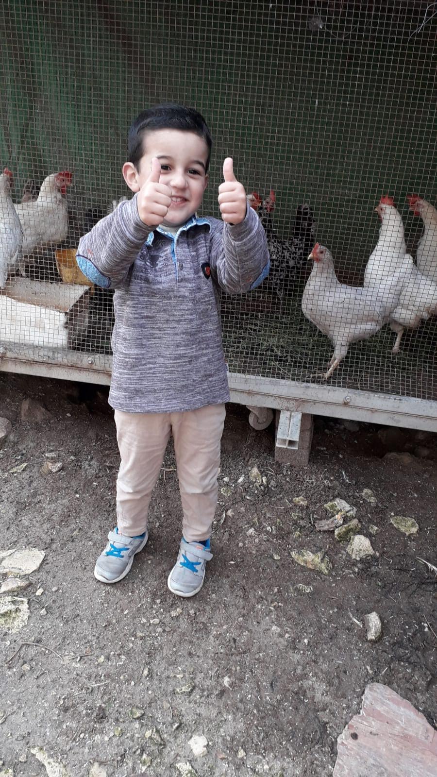 الروضة الخضراء روضة الايمان المربية نجمه زحالقه by njmh - Ourboox.com