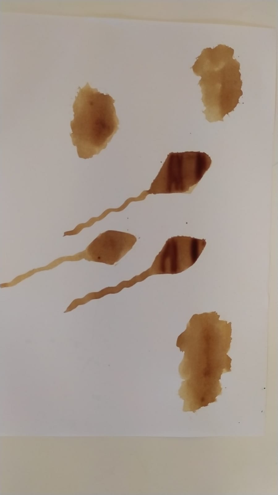 עבודות באומנות מחצית א- אריאל מנחם by ariel menachem - Illustrated by אריאל מנחם - Ourboox.com