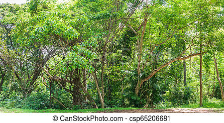 טיול ביער המפחיד😈 by ori sorek - Ourboox.com