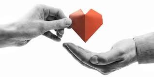 Volunteer work by ofir vars - Ourboox.com