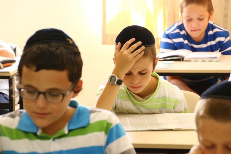 the special volunteer by adi ben shabat - Illustrated by lian and adi - Ourboox.com