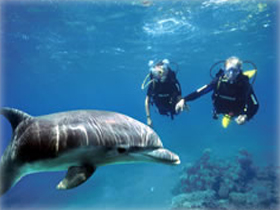 The vacation in Eilat by Elad Pinter - Ourboox.com