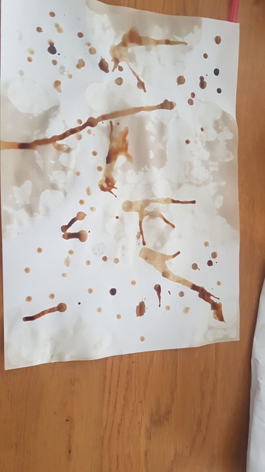 עבודות אומנות מחצית א’-חן לוגסי by chen - Ourboox.com