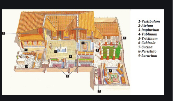  ARTE by Giulia - Ourboox.com