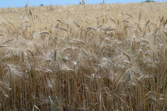 7 storie by caterina monti - Ourboox.com