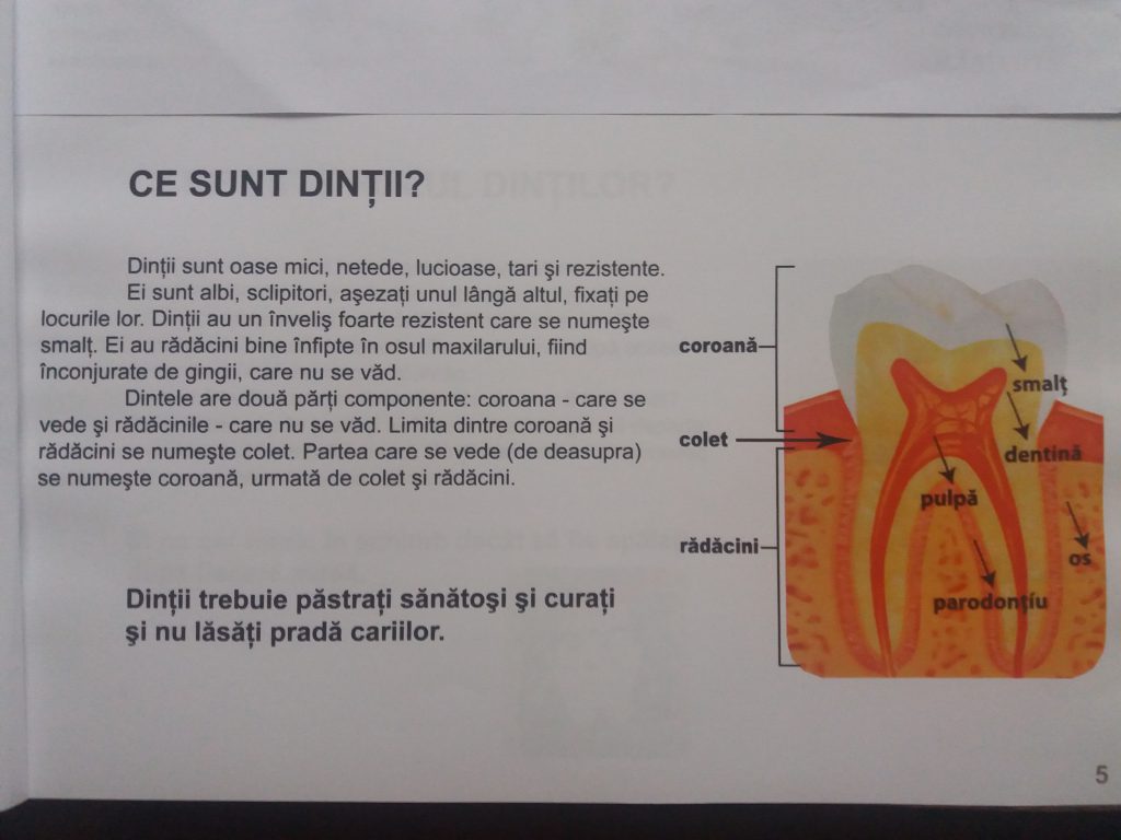 Dintisori fericiti by Ionela Fedmasu - Ourboox.com