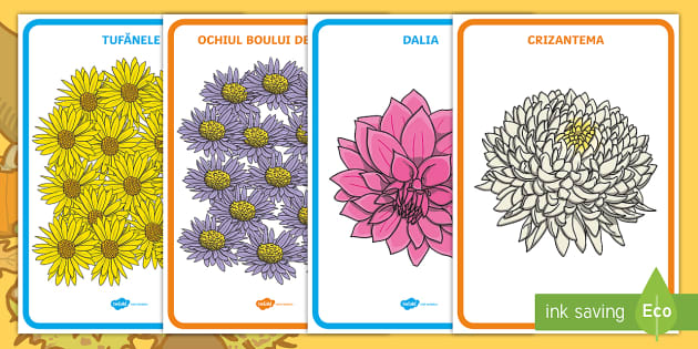 Flori de toamna by Bănică Andreea - Ourboox.com