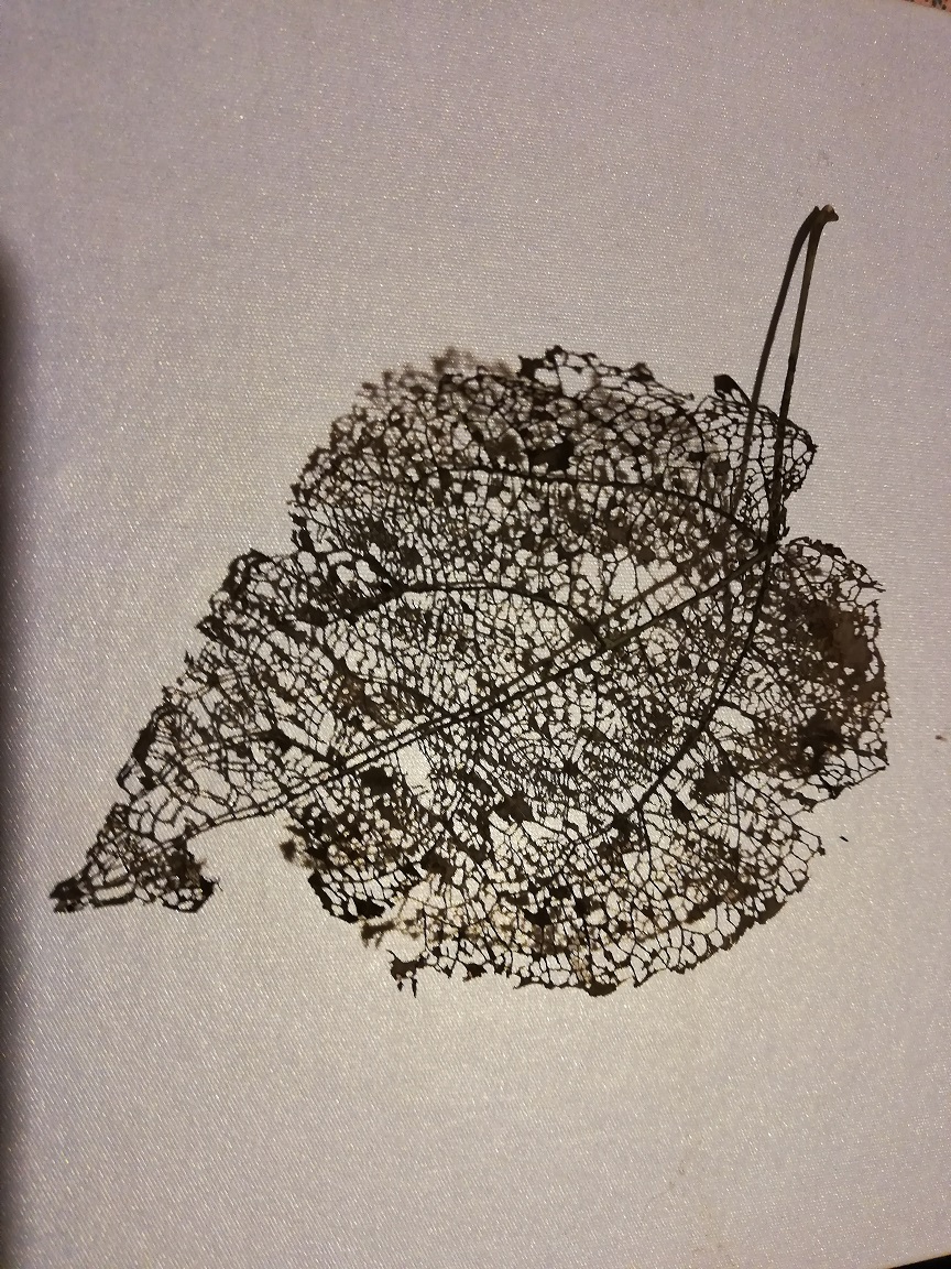 Ruduo ,,Juventoje” by Aurelija Dirgončienė - Ourboox.com