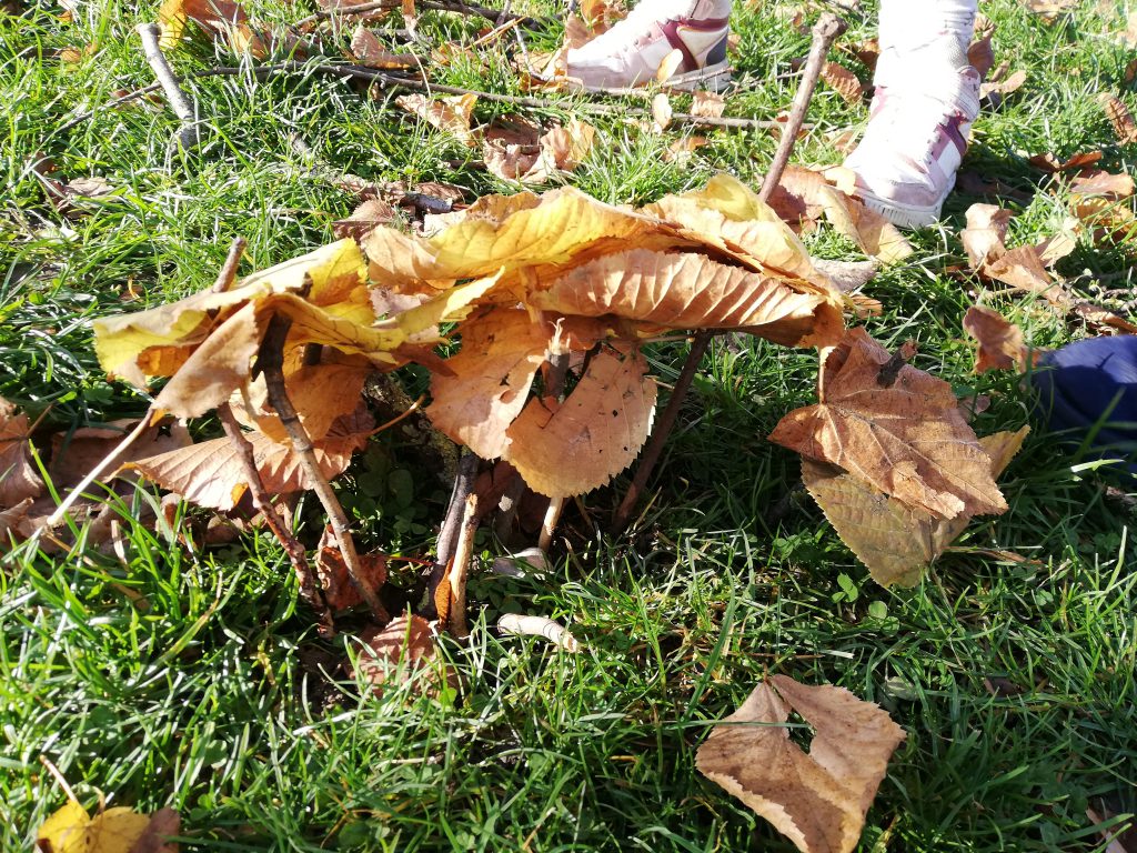 Ruduo ,,Juventoje” by Aurelija Dirgončienė - Ourboox.com