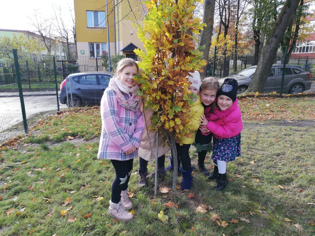 Ruduo by Aurelija Dirgončienė - Ourboox.com