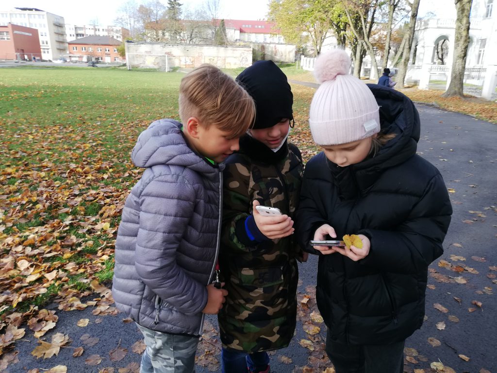 Ruduo by Aurelija Dirgončienė - Ourboox.com