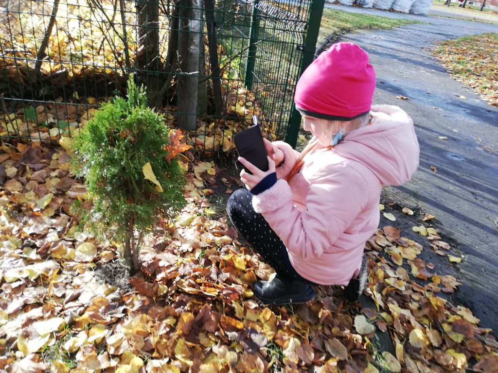 Ruduo by Aurelija Dirgončienė - Ourboox.com