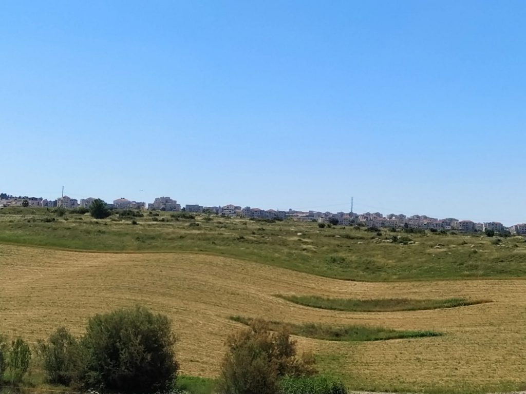 עבודות אמנות מחצית א’- עדינה ביר by adina bier - Ourboox.com