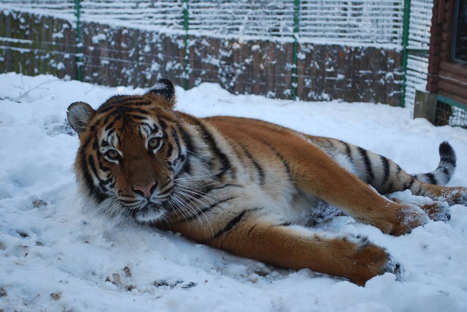 Petit guide de Rivne by Liliia Zhuk - Ourboox.com