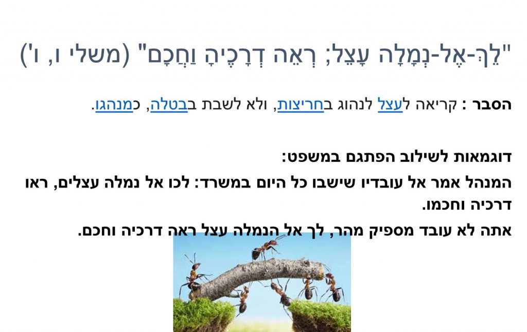 פתגמים by shiran dodi - Ourboox.com