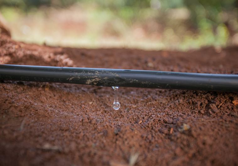 המצאות ישראליות by Sereen - Illustrated by sereen ka - Ourboox.com