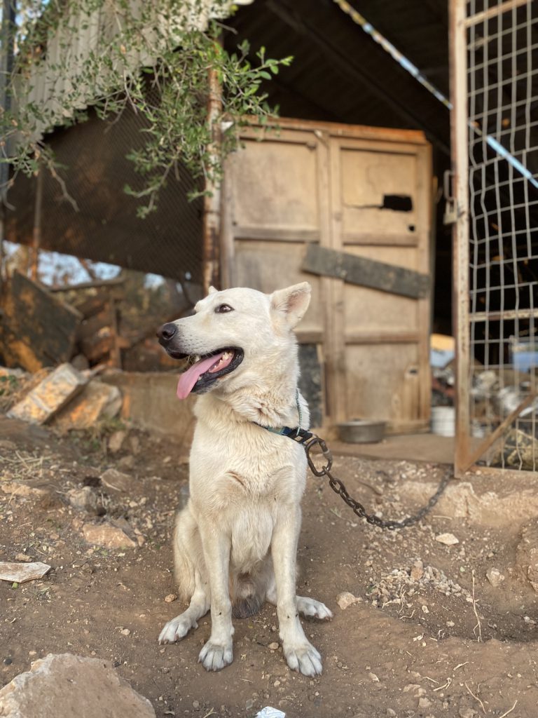 עבודות אמנות מחצית א – הילה יעקב by hila yaakov - Ourboox.com