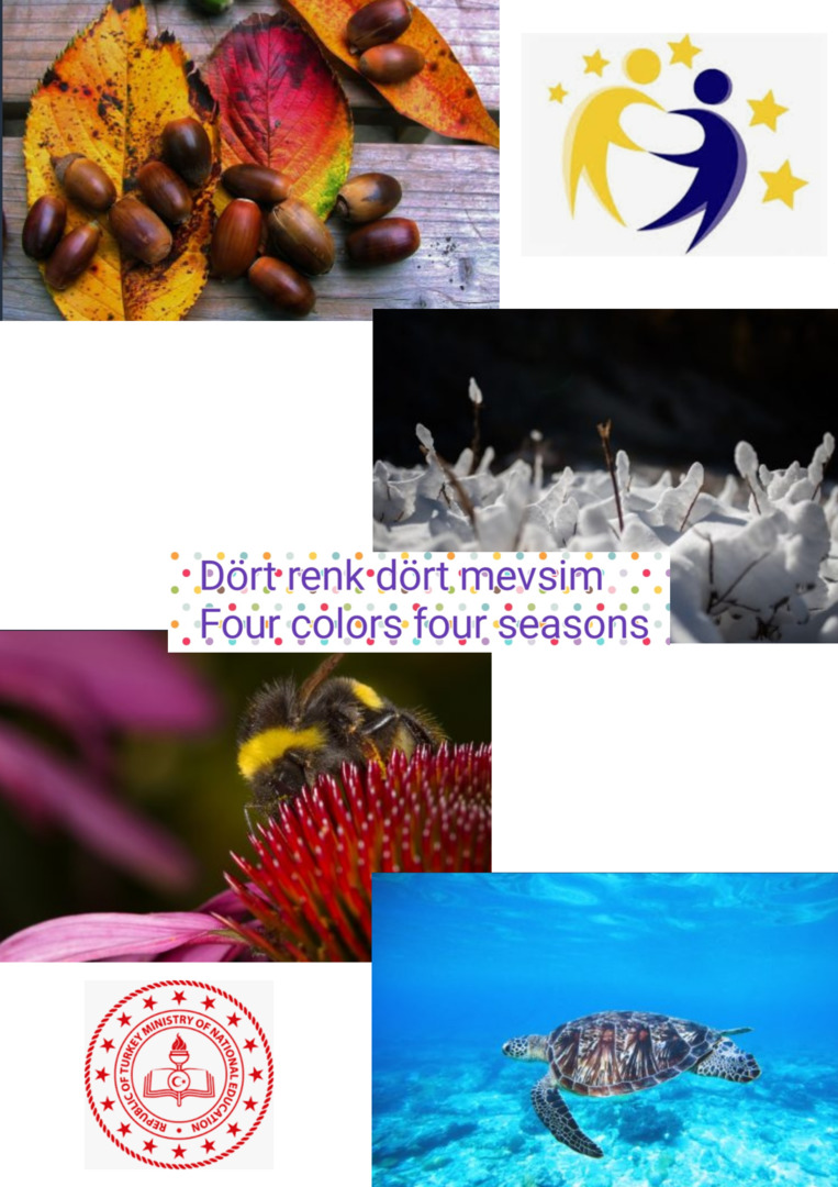 Dört Renk Dört Mevsim Afiş Anketi Four Colours Four Seasons Poster Survey by YASİN CENGİZ - Illustrated by Yasin CENGİZ - Ourboox.com