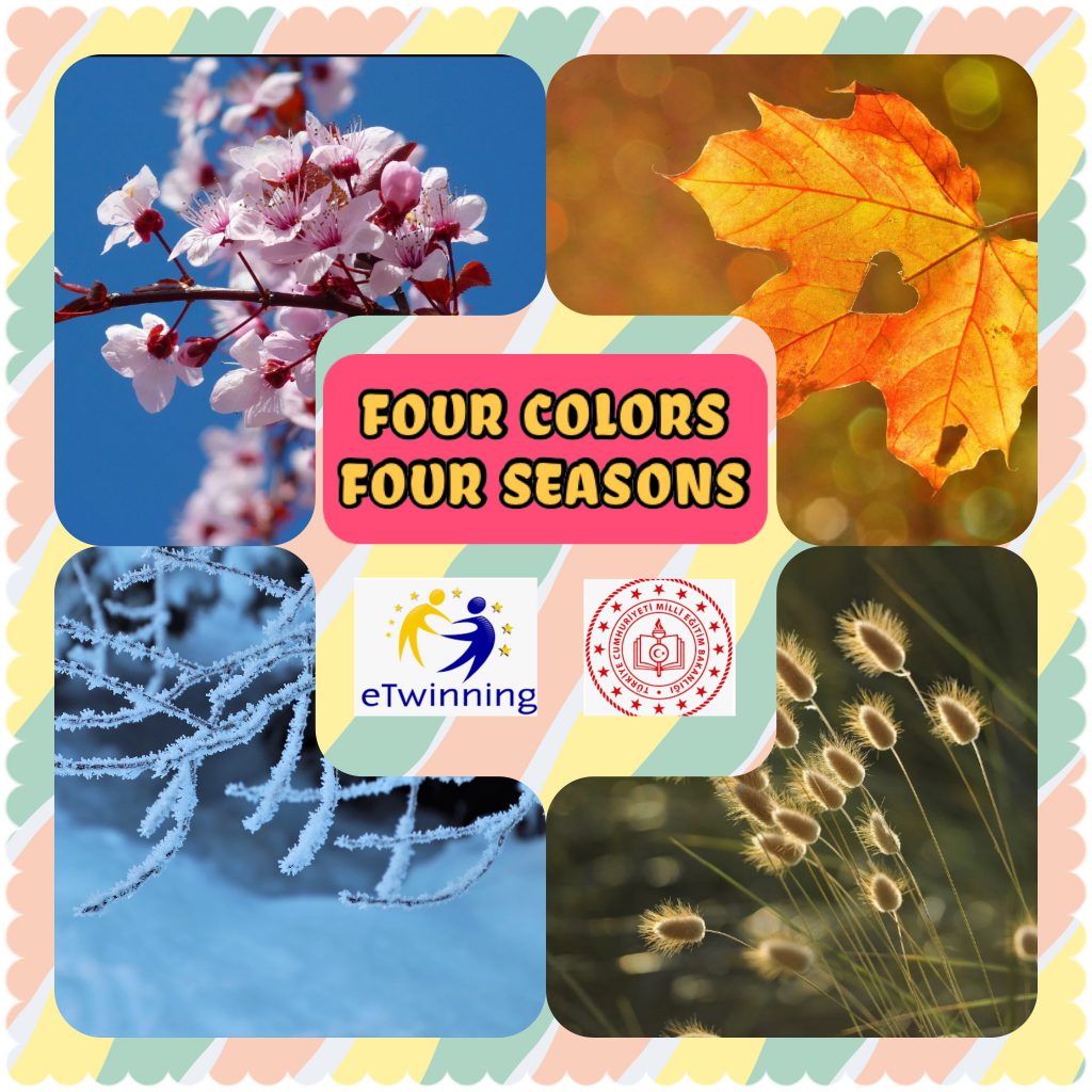 Dört Renk Dört Mevsim Afiş Anketi Four Colours Four Seasons Poster Survey by YASİN CENGİZ - Illustrated by Yasin CENGİZ - Ourboox.com