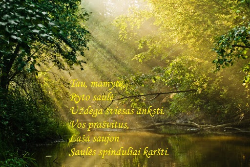 Gražiausias žiedas – mama by Diana - Ourboox.com