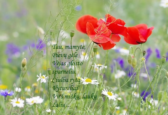 Gražiausias žiedas – mama by Diana - Ourboox.com