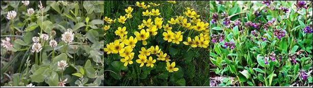 Болгар Єлизавета by Yelyzaveta Bolgar - Ourboox.com