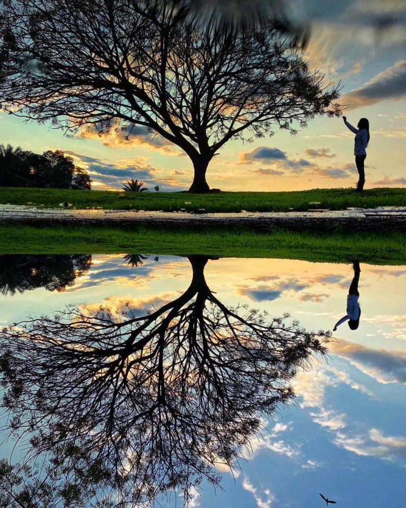 Our Roots by Michal Trop - Illustrated by   - Ourboox.com