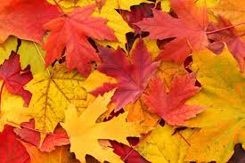 ЕСЕН by Vdnq Hristova - Ourboox.com