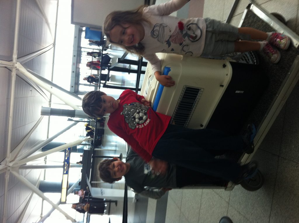 העליה מארצות הברית by Ariel - Ourboox.com