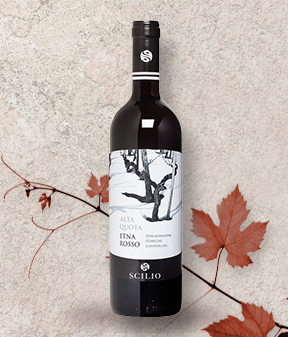 LA PROFESSIONE DEL OPERATORE DI SALA by Federico rossi - Illustrated by FEDERICO ROSSI - Ourboox.com