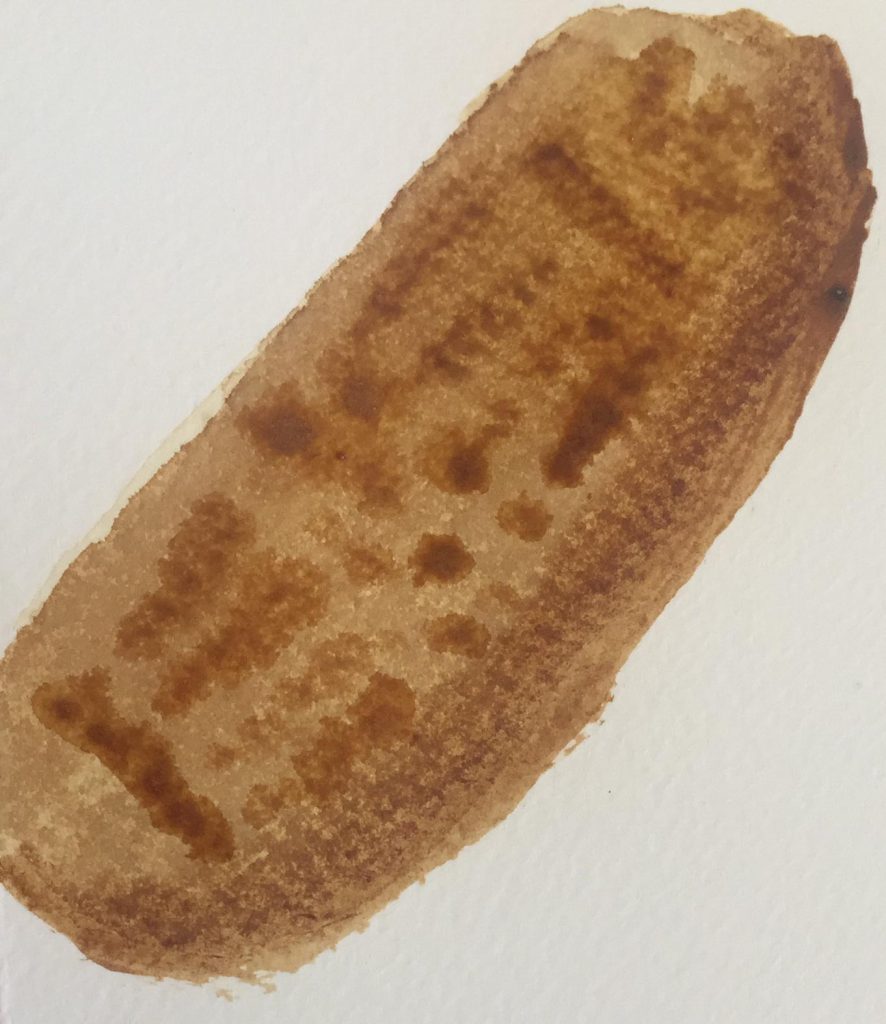 אומנות מחצית א”- תפארת יעקב by tiferetjacob - Illustrated by תפארת יעקב - Ourboox.com