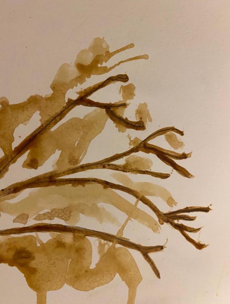 עבודות מחצית א הודיה סלם by hodaya salem - Ourboox.com