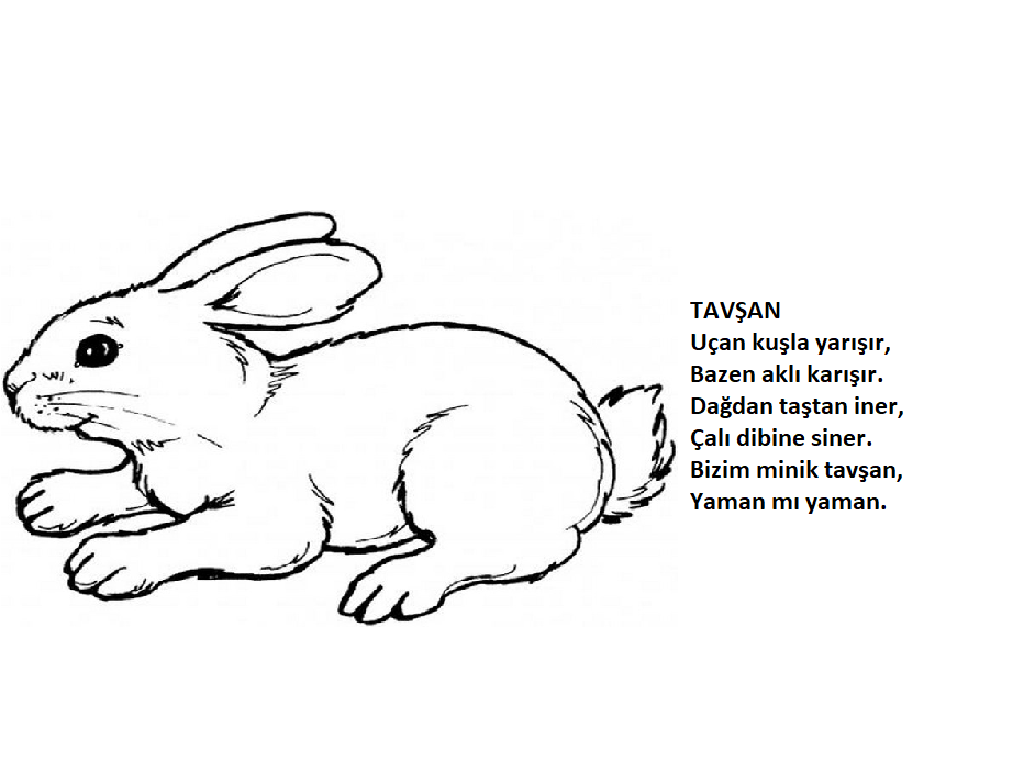 Hayvanlar Tekerleme Kitabı by Dönüştürmek Güzeldir - Ourboox.com