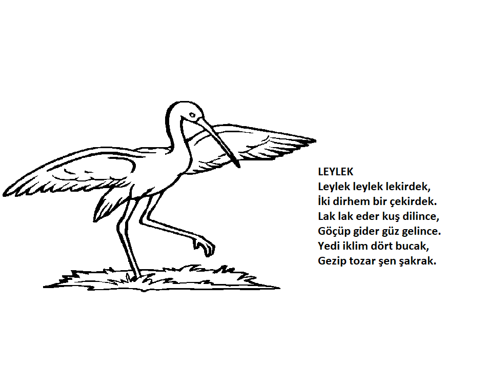 Hayvanlar Tekerleme Kitabı by Dönüştürmek Güzeldir - Ourboox.com